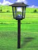 Solar Garden Lighting